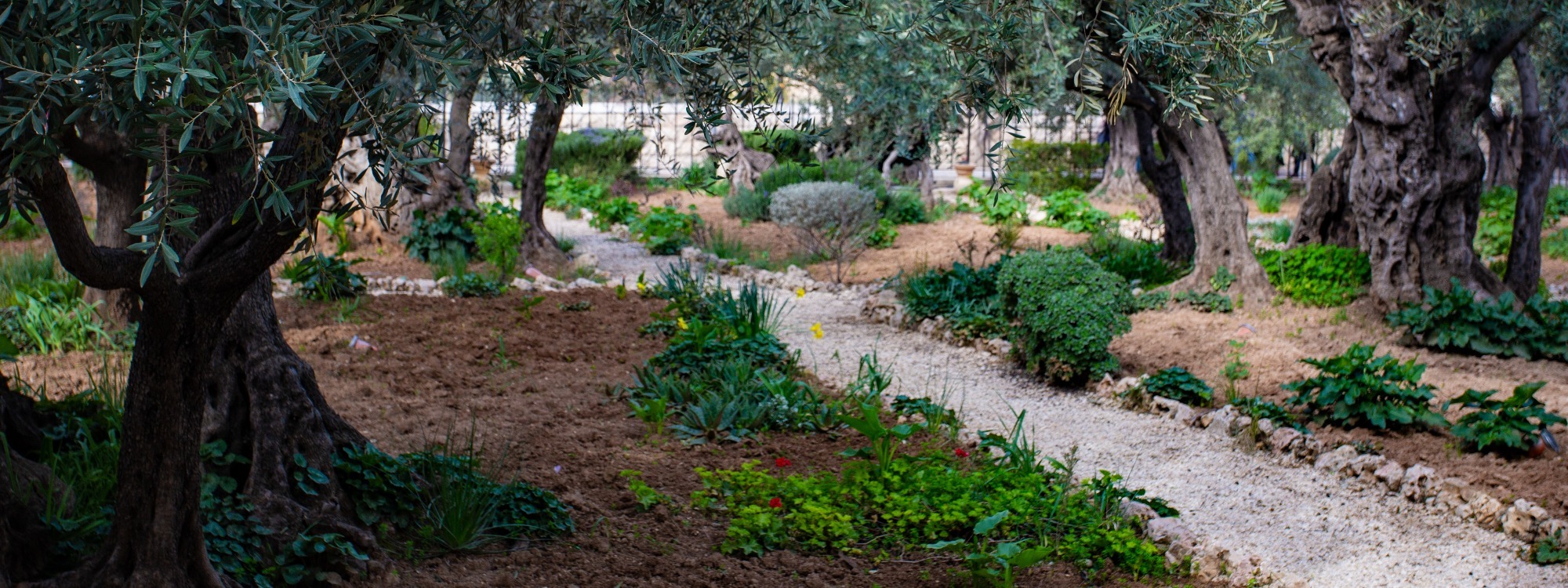 Non-Artificial Intelligence