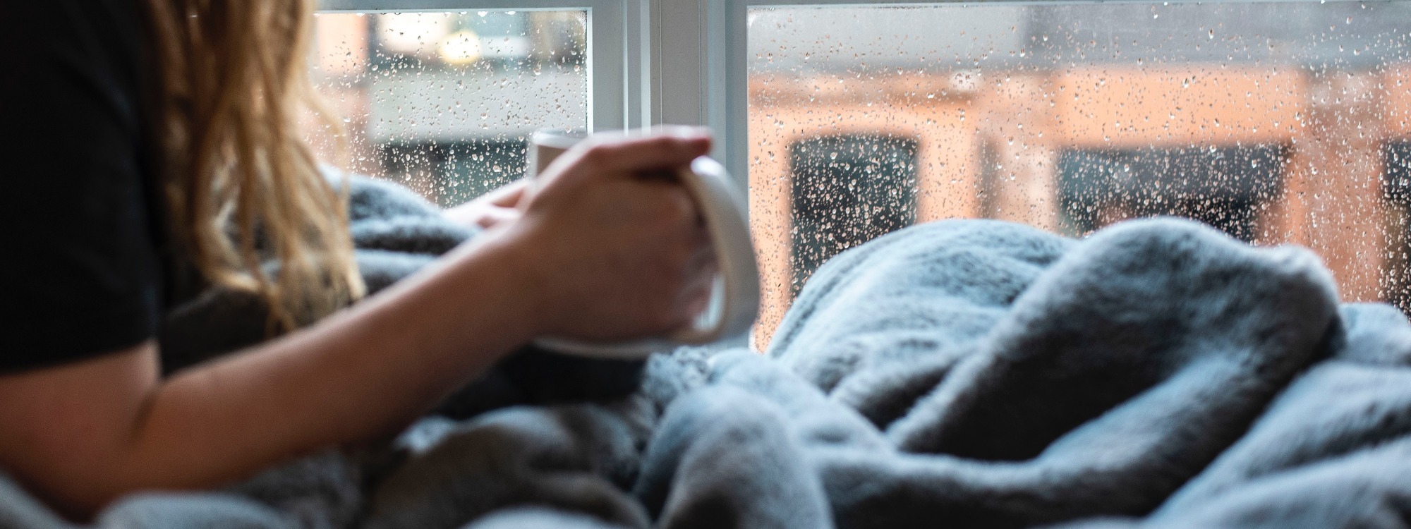 Comforter and Guide