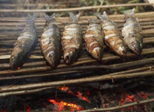 Grilling-fish-on-fire-00000319